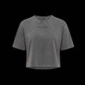 ACID WASH – IRON ELEMENT - CORTA